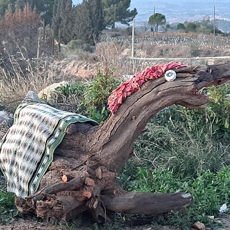 فيلا Ca La Maria Lilla المظهر الخارجي الصورة